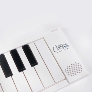 Цифровое пианино Carry on BA203010 (складное) - фото 4