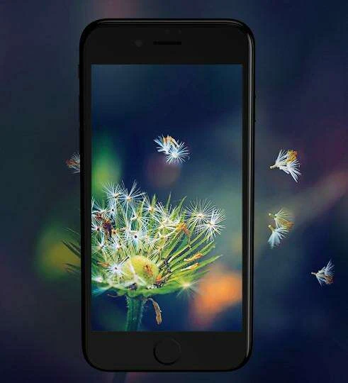 Защитное 3D стекло Remax Tempered Glass GL-08 для iPhone 7/8 Black - фото 2