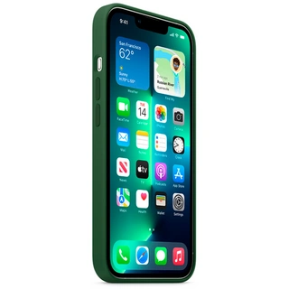 Чехол Apple для iPhone 13 Pro Silicone Case with MagSafe (MM2F3ZM/A) Clover
