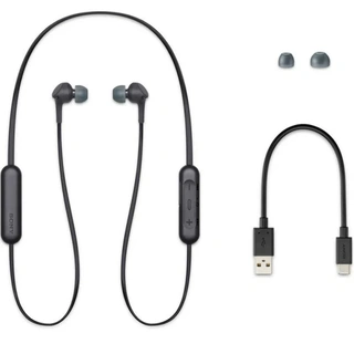 Внутриканальные наушники Sony WIXB400B.E Black