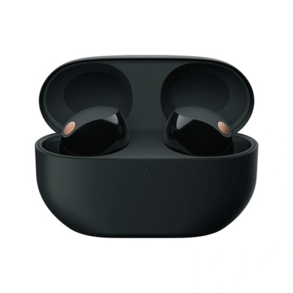 Беспроводные наушники Sony WF-1000XM5B.E - фото 3