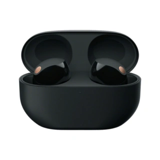 Беспроводные наушники Sony WF-1000XM5B.E