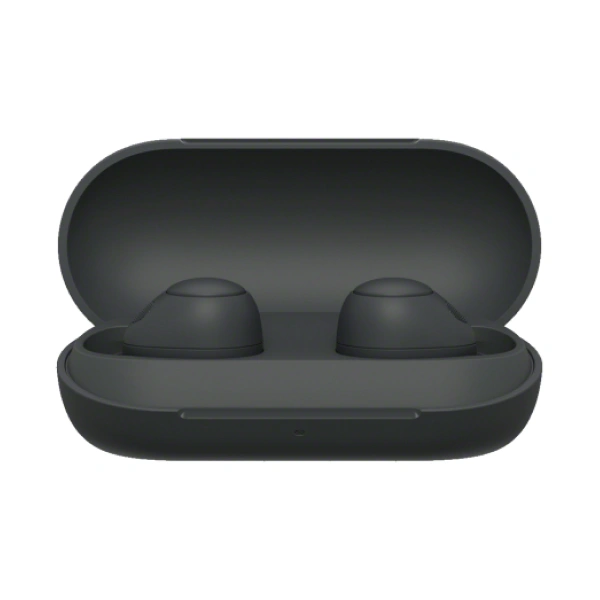 Беспроводные наушники Sony WF-C700B.E - фото 4