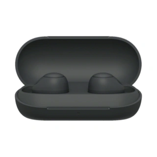 Беспроводные наушники Sony WF-C700B.E