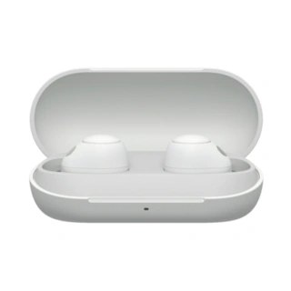 Беспроводные наушники Sony WF-C700W.E