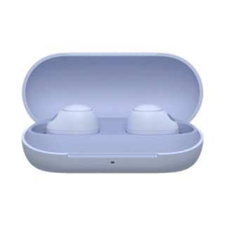 Беспроводные наушники Sony WF-C700V.E