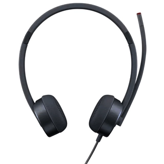 Гарнитура обычная Lenovo 100 Stereo Headphones GXD1E71386 Black