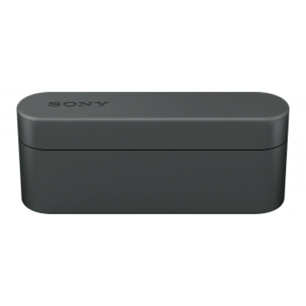 Наушники внутриканальные Sony WF1000XB.E (Black)