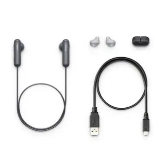 Наушники внутриканальные Sony WISP500B.E (Black)