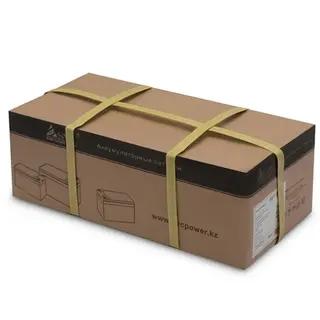 Защита электропитания SVC AV9-12 12В 9 Ач