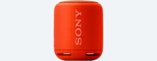 Портативная колонка Sony SRSXB10R
