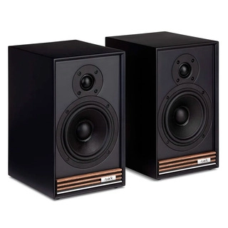 Полочная акустическая система Ruark Sabre-R Black