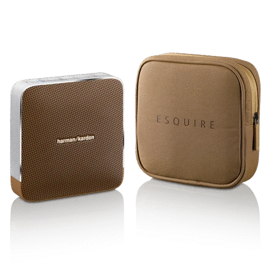 Портативная колонка Harman Kardon Esquire Brown - фото 2