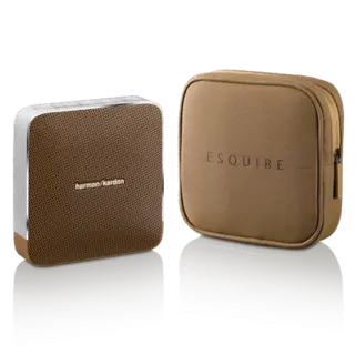 Портативная колонка Harman Kardon Esquire Brown