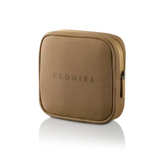 Портативная колонка Harman Kardon Esquire Brown