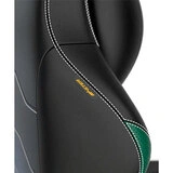 Игровое компьютерное кресло DXRacer Master Black&Green-Plus XL GC/XLMF23LTD/NE - фото 8