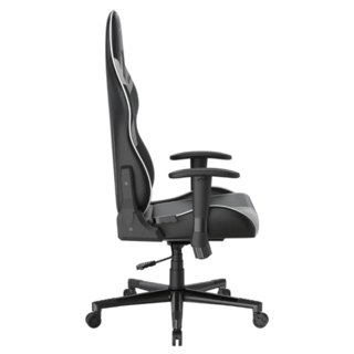 Игровое кресло DXRacer Prince GC/LPF132LTC/NW Black&White