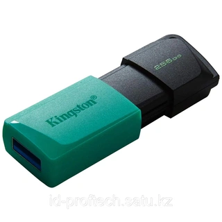 USB-накопитель Kingston DTXM/256GB - фото 4