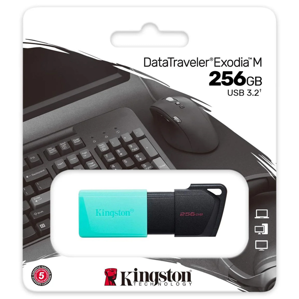 USB накопитель Kingston DTXM 3.2 256GB