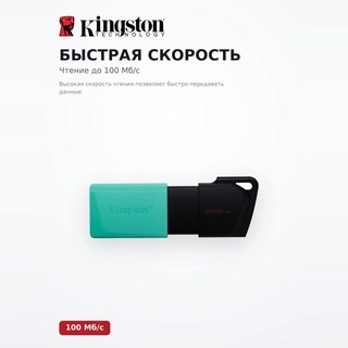 USB-накопитель Kingston DTXM/256GB