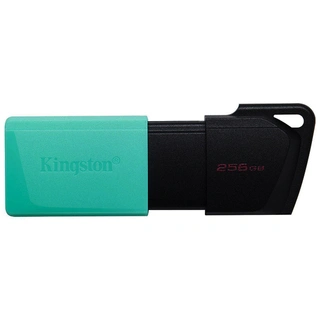 USB-накопитель Kingston DTXM/256GB - фото 3