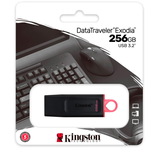 USB-накопитель Kingston DTX/256GB Black - фото 3
