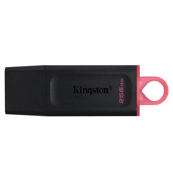 USB-накопитель Kingston DTX/256GB Black