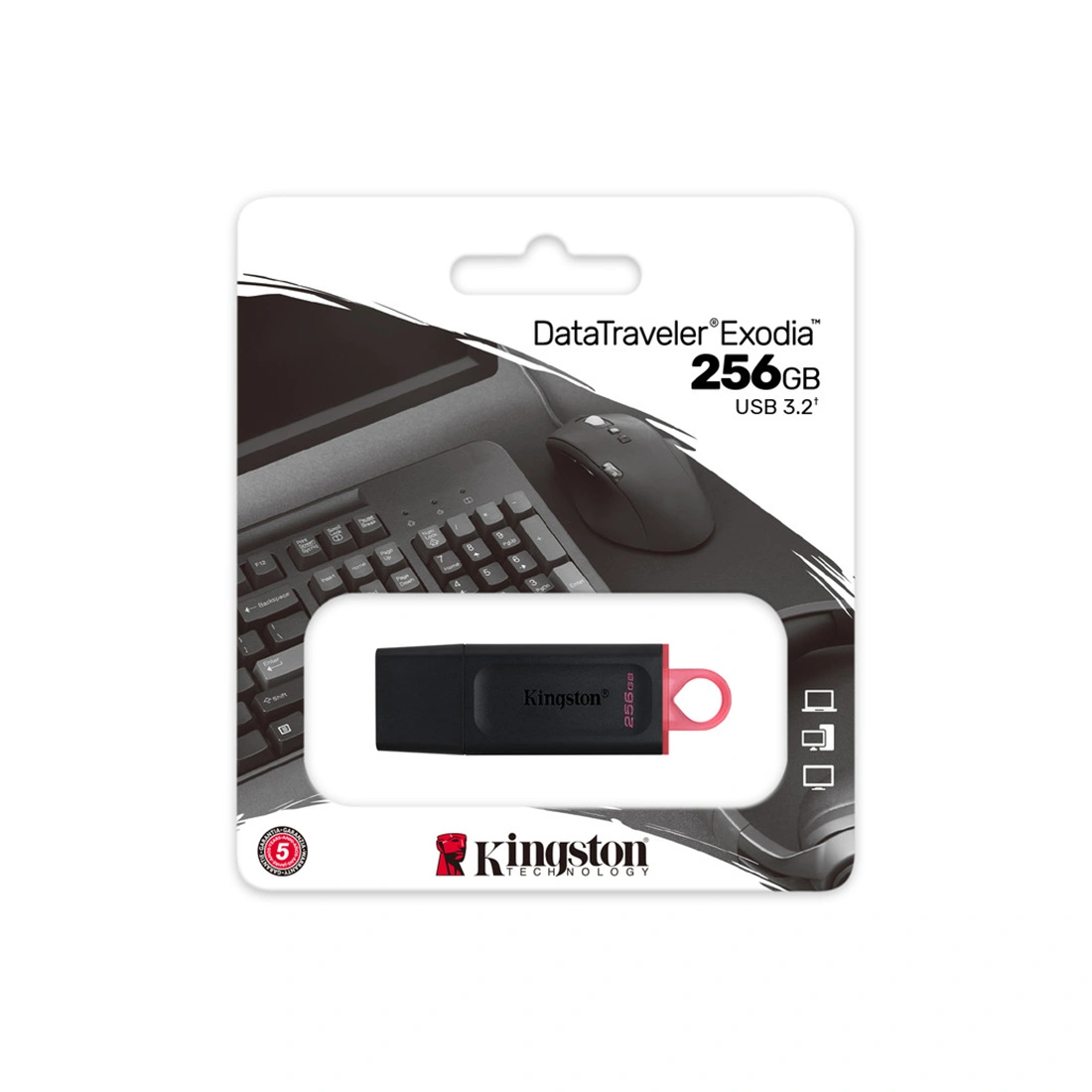 USB-накопитель Kingston DTX/256GB - фото 3