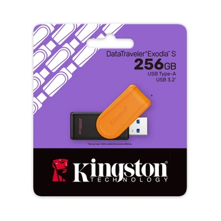 USB-накопитель Kingston DTXS/256GB 256GB DTXS/256GB