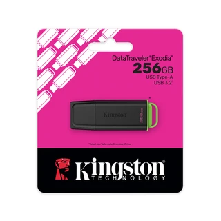 USB-накопитель Kingston DTXG2/256GB 256GB Чёрный/Зелёный DTXG2/256GB