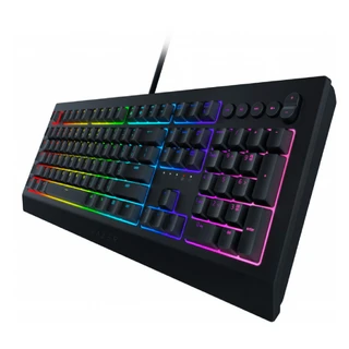 Клавиатура проводная Razer Cynosa V2 RZ03-03400700-R3R1