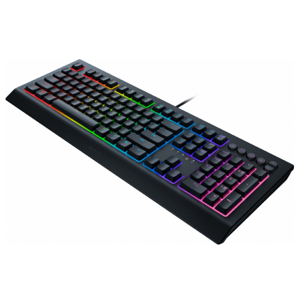 Клавиатура проводная Razer Cynosa V2 RZ03-03400700-R3R1 в Алматы - цены ...