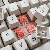 Клавиатура проводная Akko 3087 V2 Steam Engine Red Switch (Rus) - фото 6