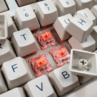 Клавиатура проводная Akko 3087 V2 Steam Engine Red Switch (Rus)