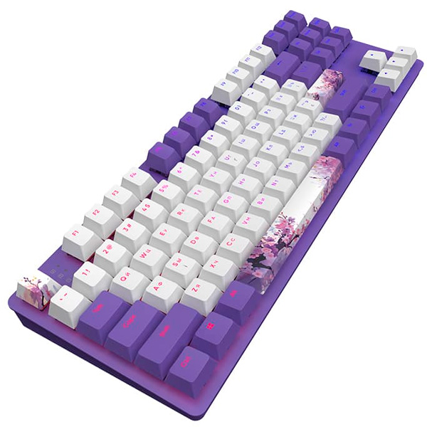 Клавиатура игровая Dark Project DPO87, TKL - фото 2