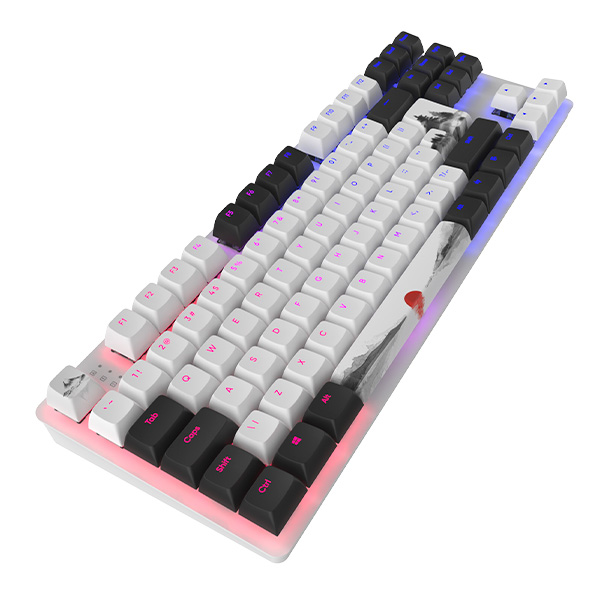 Клавиатура игровая Dark Project One 87 Fuji - фото 4