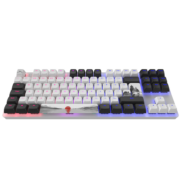 Клавиатура игровая Dark Project One 87 Fuji - фото 2