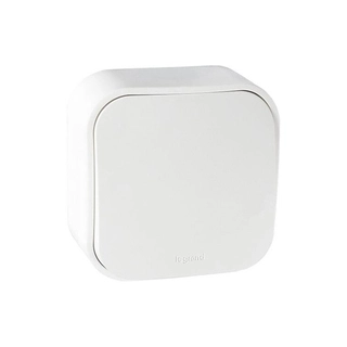 Выключатель без фиксации (кнопка) Legrand Forix 6A 250В IP20 накладной белый 