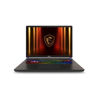 Ноутбук MSI Vector 17 HX AI A2XWHG-087XKZ 17" QHD+ 240Hz Ultra 9 275HX 32GB 1TB RTX5070 Ti DOS 