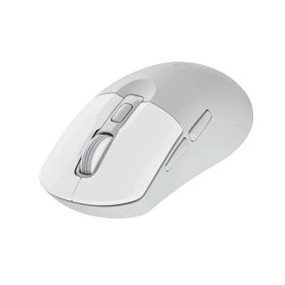 Компьютерная мышь Rapoo M308 Silent Grey 