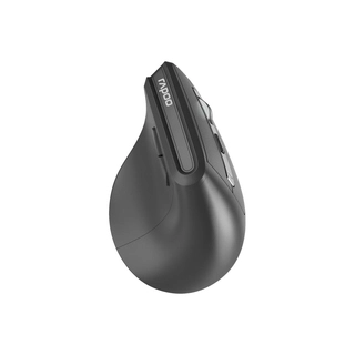 Компьютерная мышь Rapoo EV310M EV310M