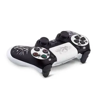 Rainbo сымсыз геймпад "Disgusting men" Custom PS4 Dualshock