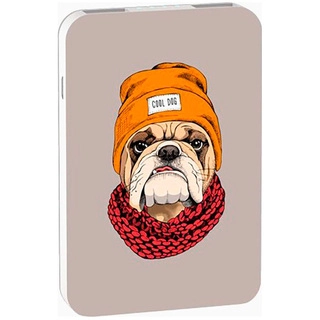 Power Bank Ritmix RPB-10007 Bulldog 10000mAh Gray