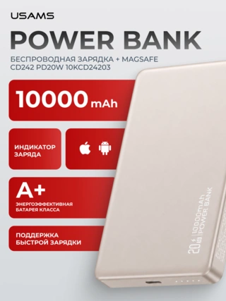 Power Bank Usams CD242 Wireless PD20W 10000mAh 10KCD24203 Silver - фото 2