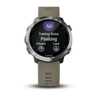 Смарт-часы Garmin Forerunner 645 с песочным ремешком (010-01863-11)