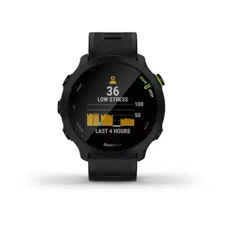 Смарт-часы Garmin Forerunner 55 010-02562-10 Black 