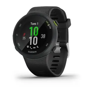 Смарт-часы Garmin Forerunner 45 Черный (010-02156-15)