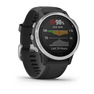 Смарт-часы Garmin Fenix 6s серебристый с черным ремешком