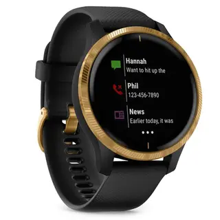 Смарт-часы Garmin Venu Black Gold (010-02173-33)