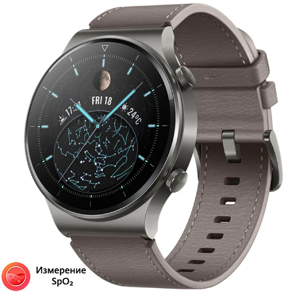 Смарт-часы HUAWEI Watch GT2 Pro Classic Nebula Gray